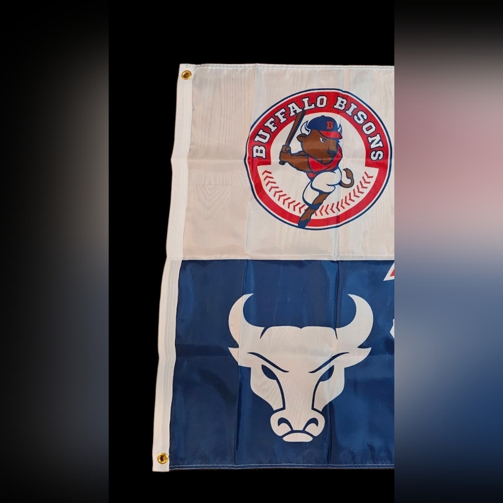 Buffalo Sports Team Flag 3x5 NEW BILLS, BANDITS, BISONS, BULLS, SABRES - Picture 3 of 3